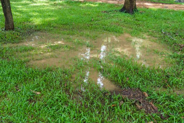 Cost of Storm Water Drainage Service in Westfield