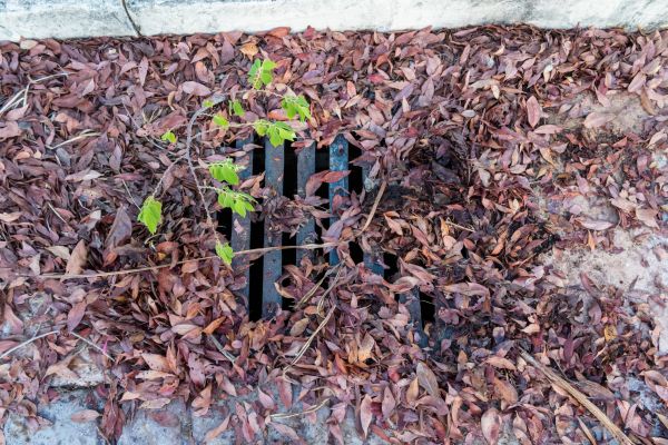 Cost of Yard Drain Unclogging in Westfield