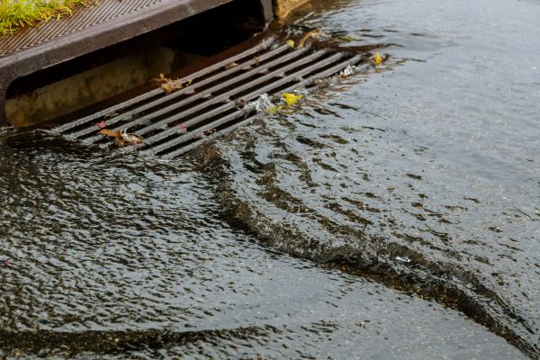 Cost of Storm Drainage Service in Westfield