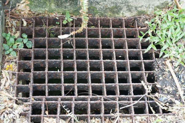 Cost of Yard Drain Cleaning in Westfield