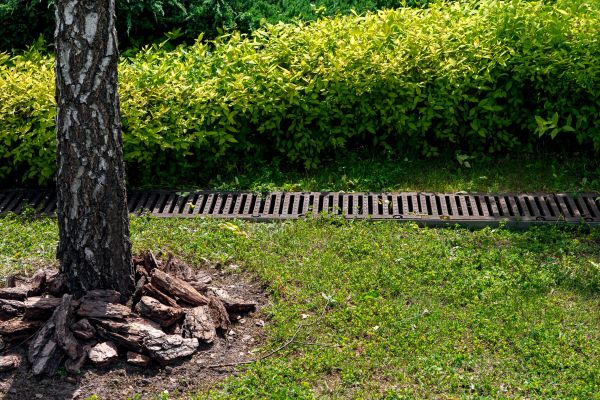 Cost of Wet Yard Drainage in Westfield