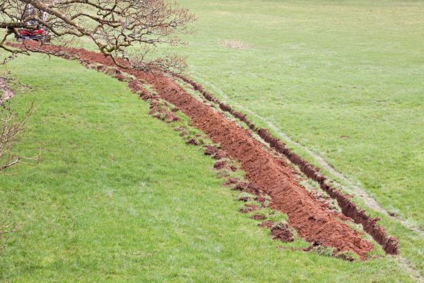 Cost of Swale Installation in Westfield