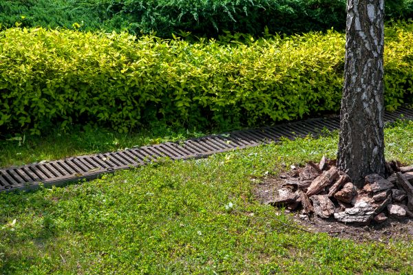 Cost of Residential Landscape Drainage in Westfield