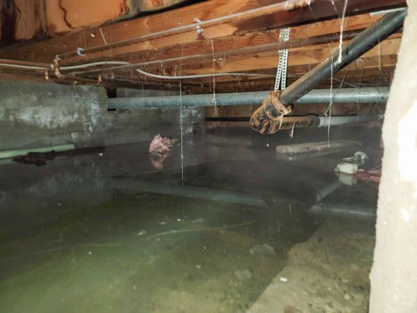 Cost of Crawlspace Drainage in Westfield
