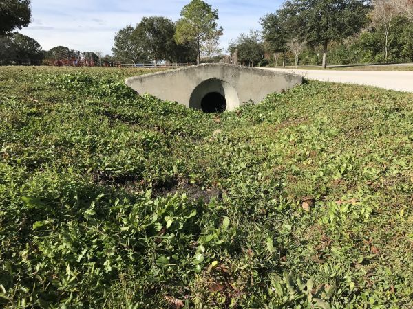 Cost of Swale Drainage Service in Westfield