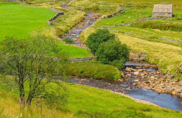Cost of Swale Repair in Westfield